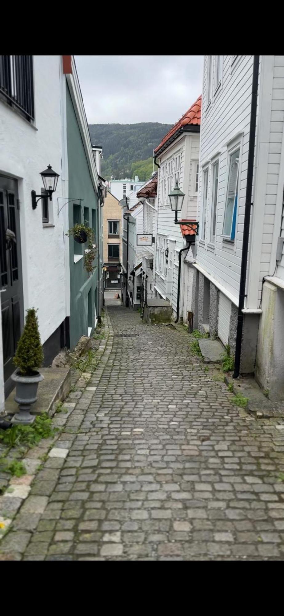 The Dreamhouse - Inner City Center - Old Town ベルゲン エクステリア 写真